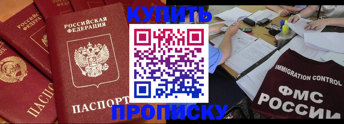 временная регистрация для всех в Светлогорске